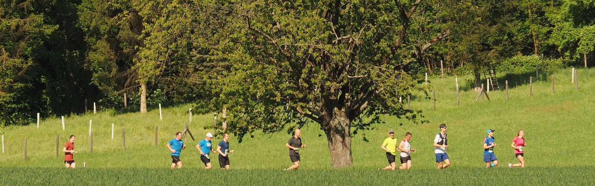 Muttenz Marathon - Foto von https://www.muttenz-marathon.ch/