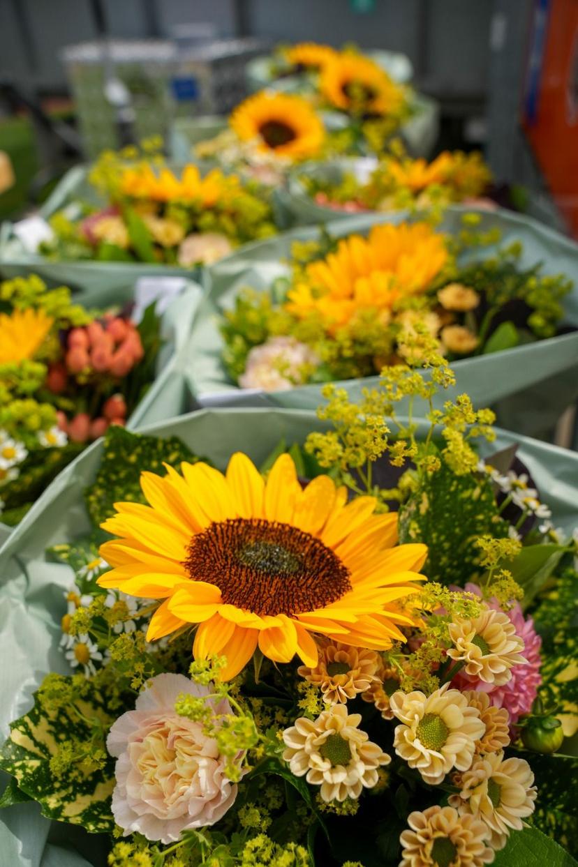 Blumen