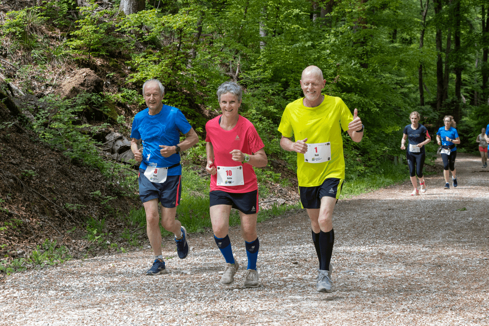 Blauen Berglauf: Foto von https://www.blauenberglauf.ch/